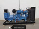 Alternador trifásico diesel feito sob encomenda da C.A. de Witn do grupo de gerador da cor YUCHAI