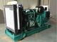 Gerador alternativo diesel de 240 quilowatts grupo de gerador diesel aberto da garantia de 1 ano 300 KVA