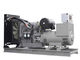 800 quilowatts Perkins Diesel Generator Marathon Alternator Perkins Engine Generator